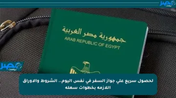 لحصول سريع على جواز السفر في نفس اليوم.. الشروط والأوراق اللازمة بخطوات سهلة